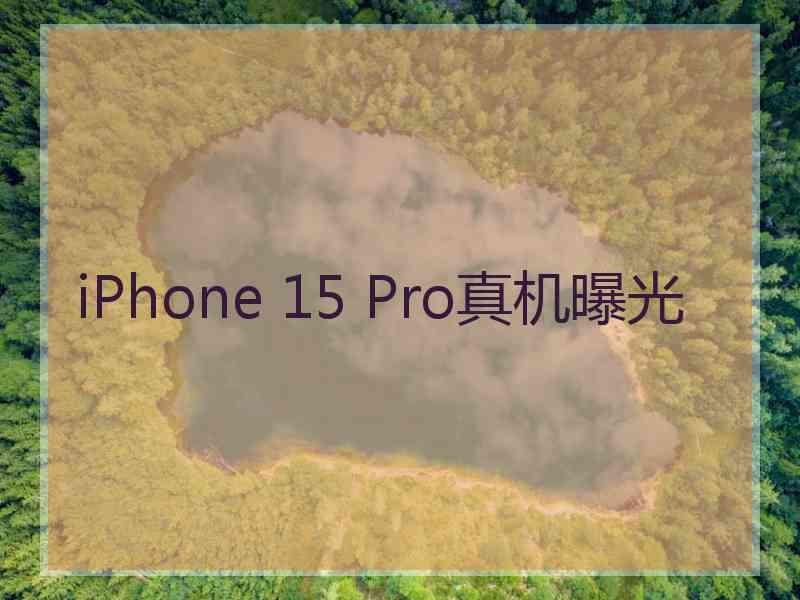 iPhone 15 Pro真机曝光