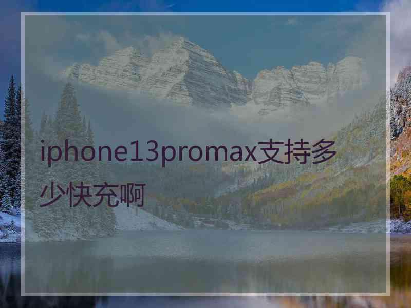 iphone13promax支持多少快充啊