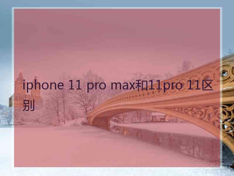 iphone 11 pro max和11pro 11区别