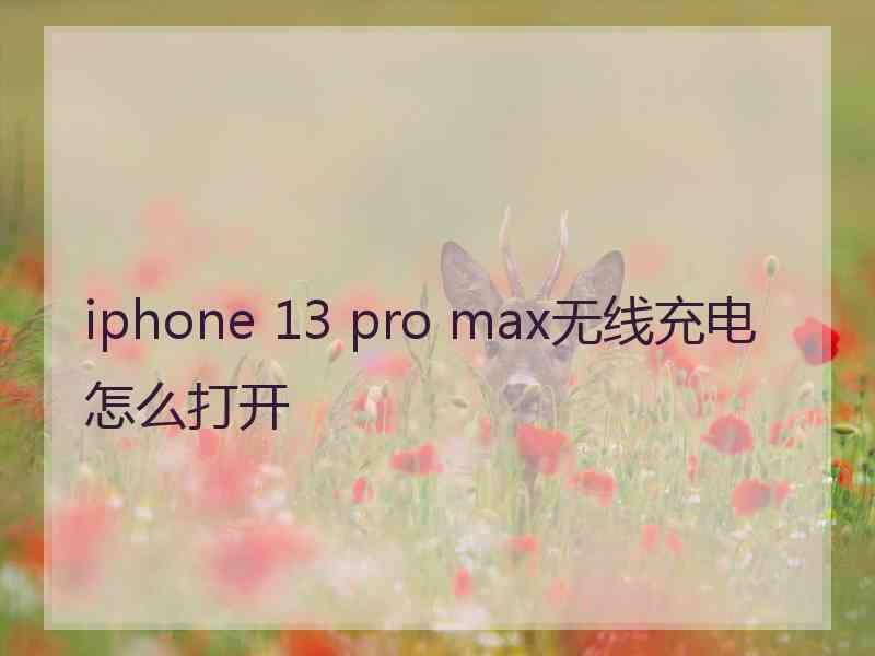 iphone 13 pro max无线充电怎么打开