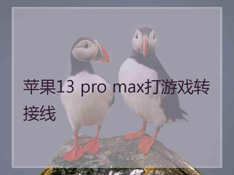 苹果13 pro max打游戏转接线