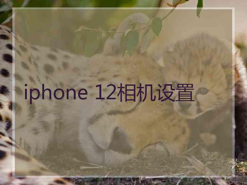 iphone 12相机设置