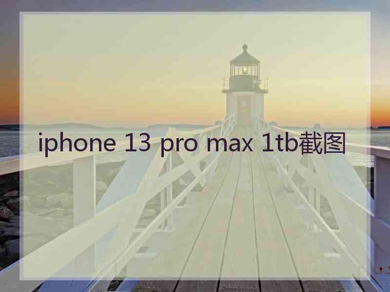 iphone 13 pro max 1tb截图