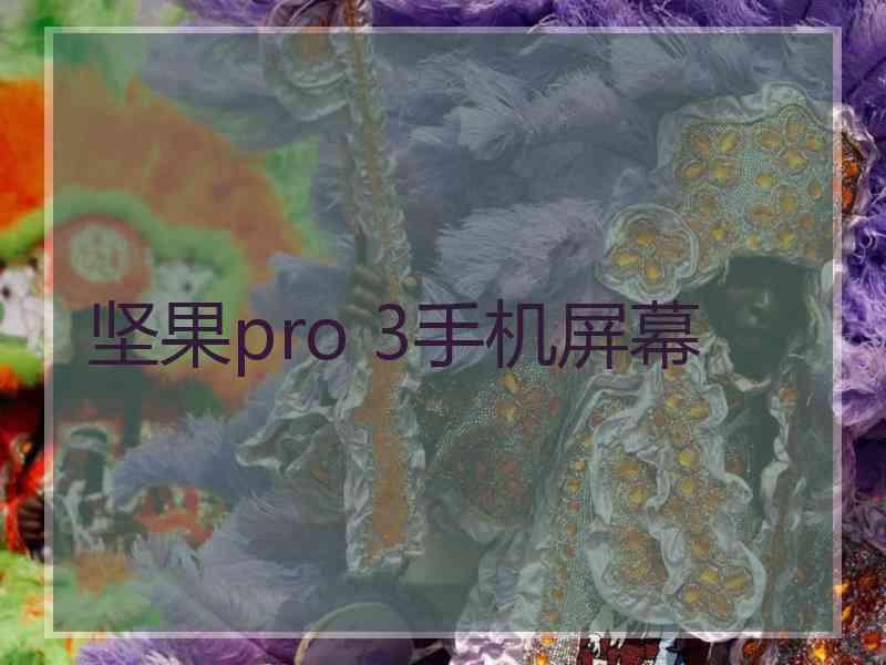 坚果pro 3手机屏幕