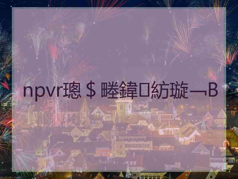 npvr璁＄畻鍏紡璇﹁В