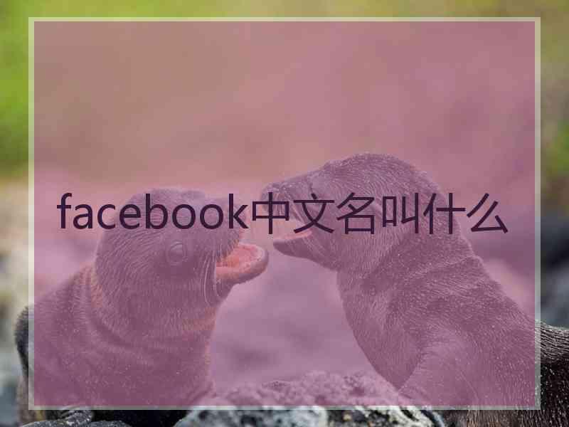 facebook中文名叫什么