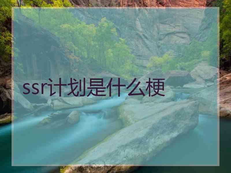 ssr计划是什么梗