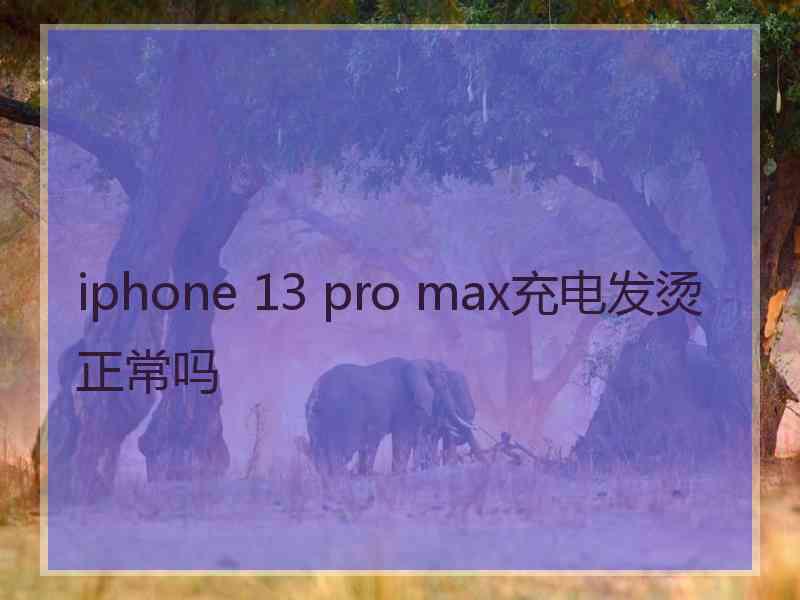 iphone 13 pro max充电发烫正常吗