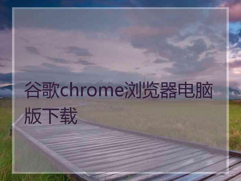 谷歌chrome浏览器电脑版下载