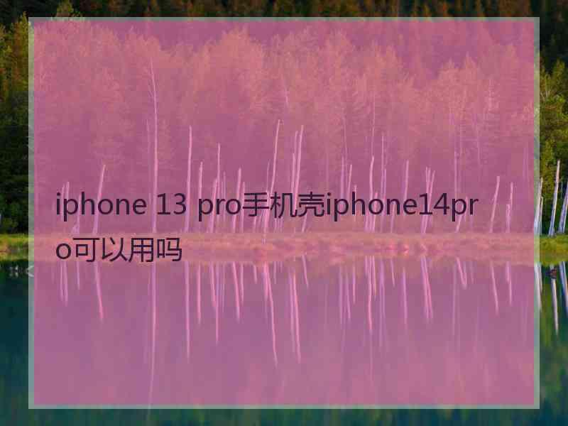 iphone 13 pro手机壳iphone14pro可以用吗