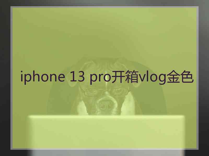 iphone 13 pro开箱vlog金色