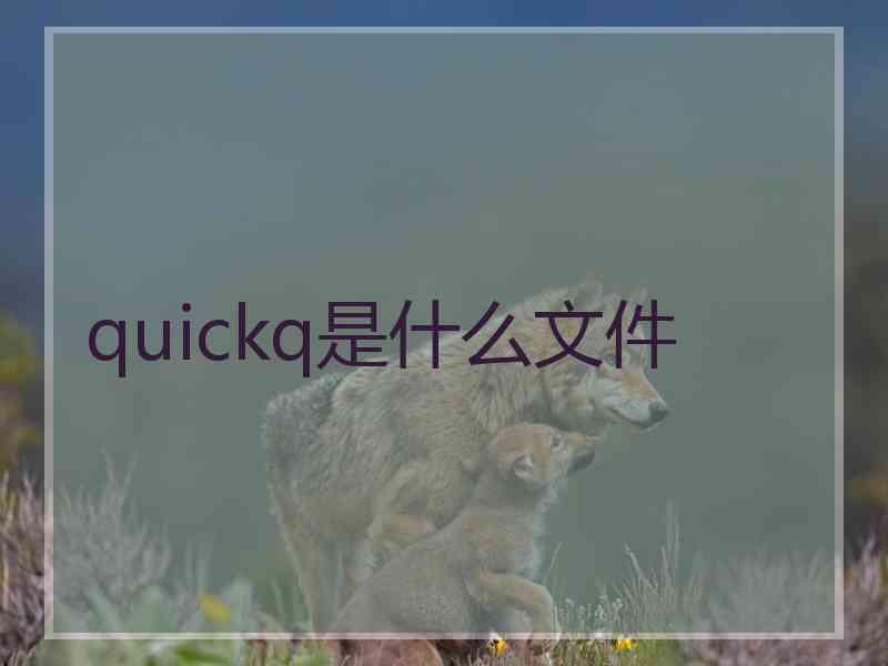 quickq是什么文件