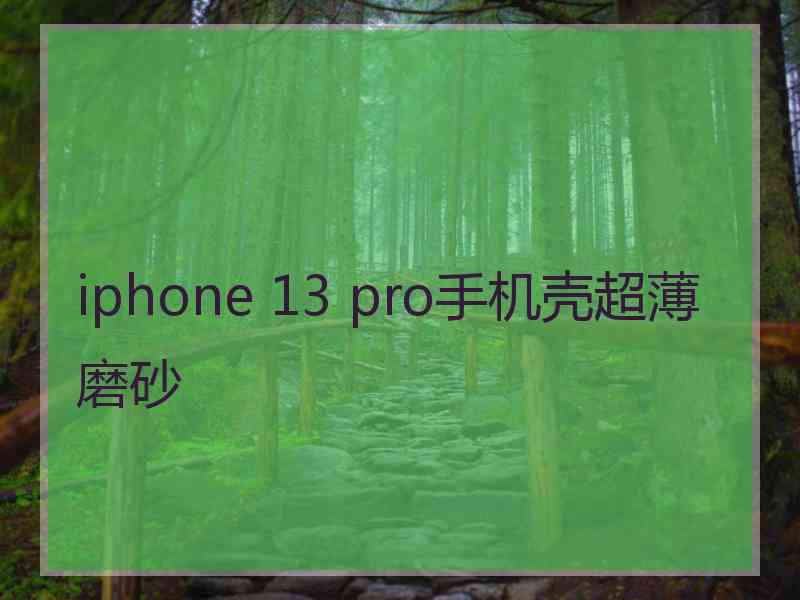 iphone 13 pro手机壳超薄磨砂