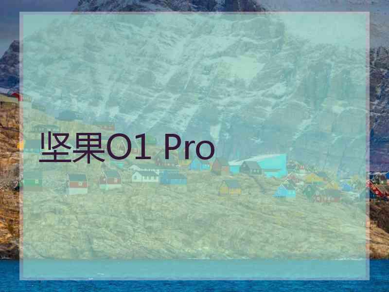 坚果O1 Pro