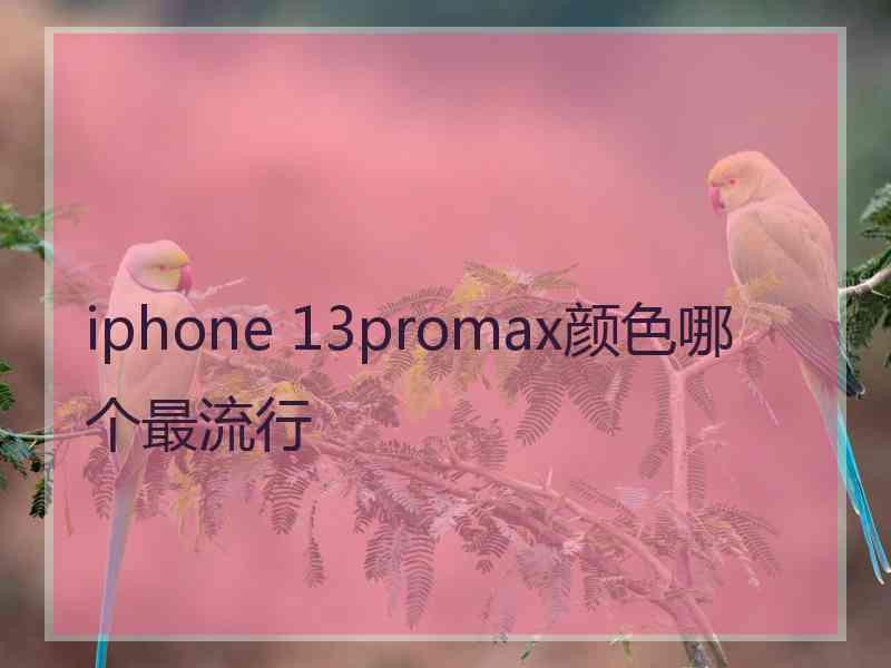 iphone 13promax颜色哪个最流行