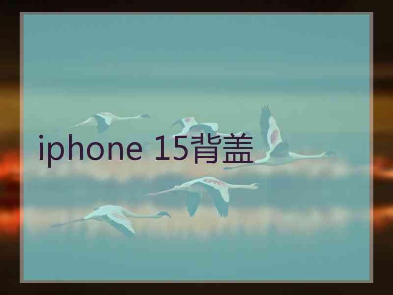 iphone 15背盖