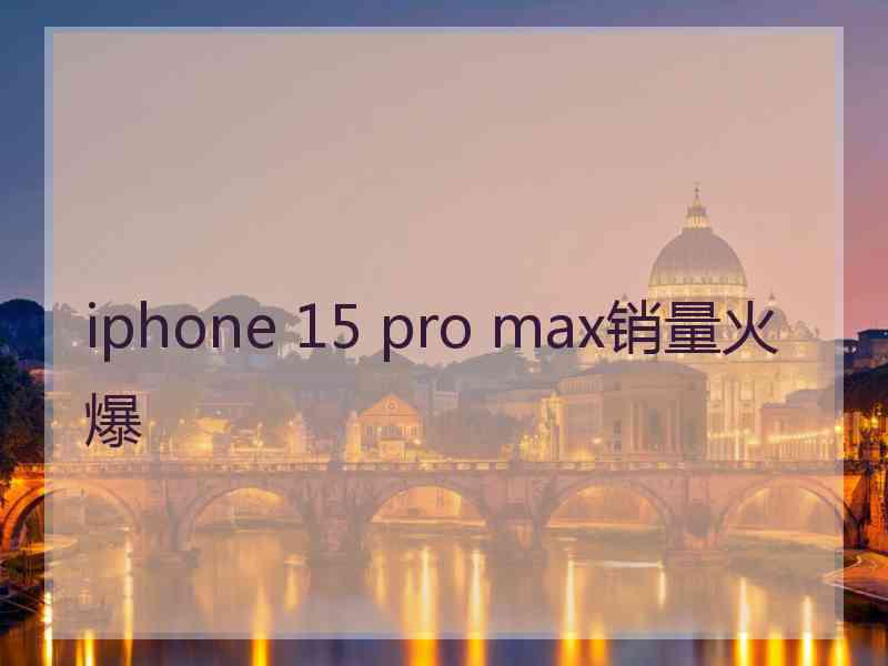 iphone 15 pro max销量火爆