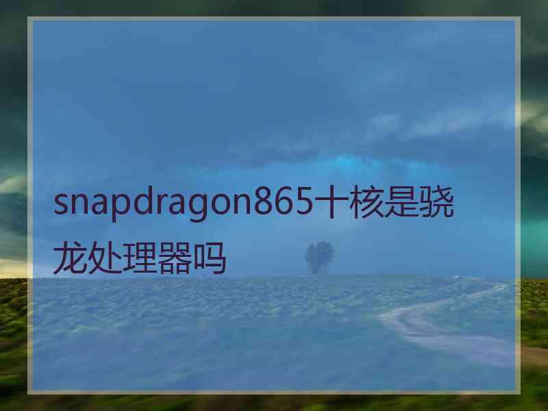 snapdragon865十核是骁龙处理器吗