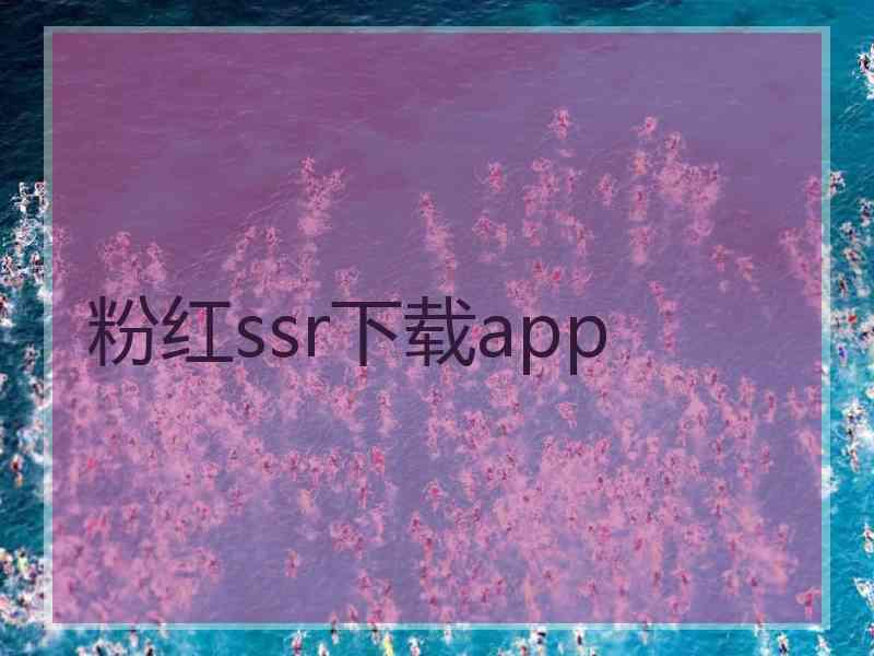 粉红ssr下载app