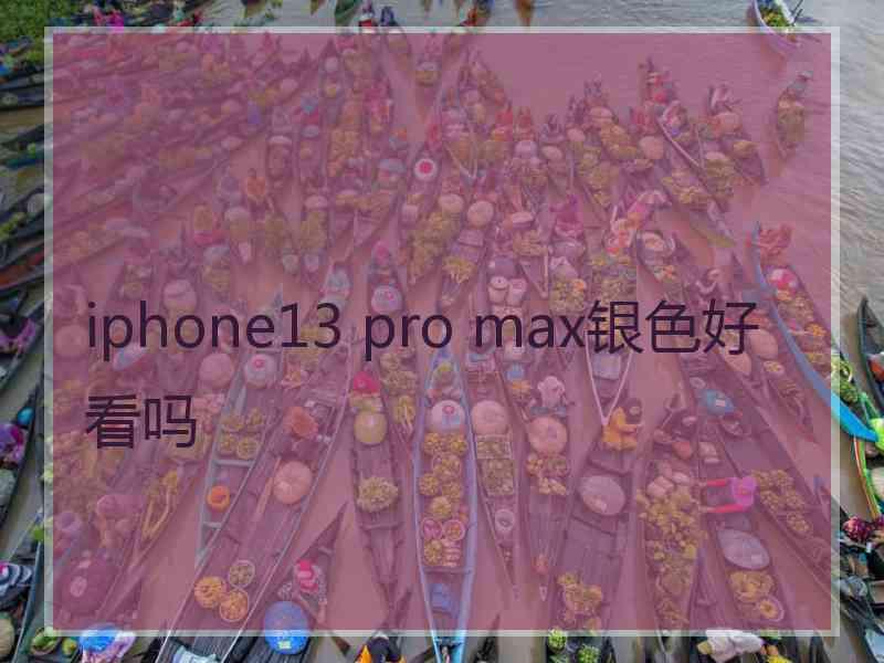 iphone13 pro max银色好看吗