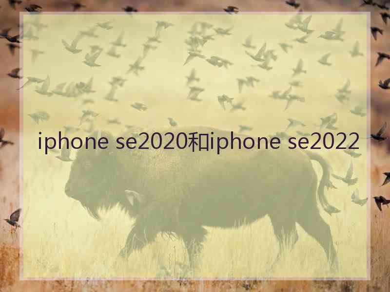 iphone se2020和iphone se2022