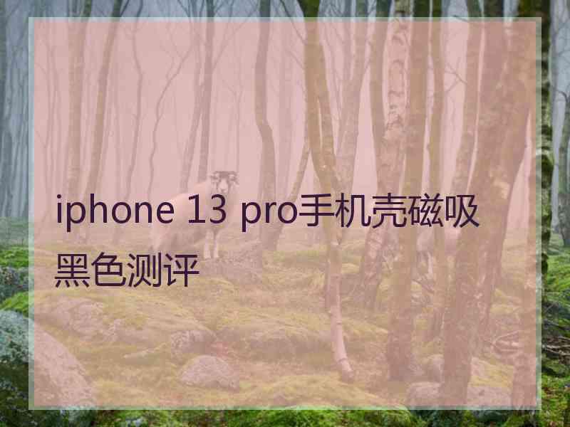 iphone 13 pro手机壳磁吸黑色测评