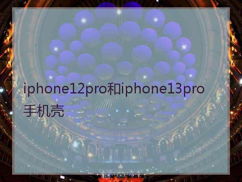 iphone12pro和iphone13pro手机壳