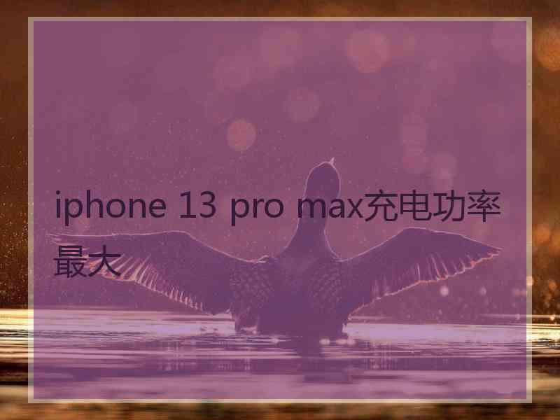 iphone 13 pro max充电功率最大