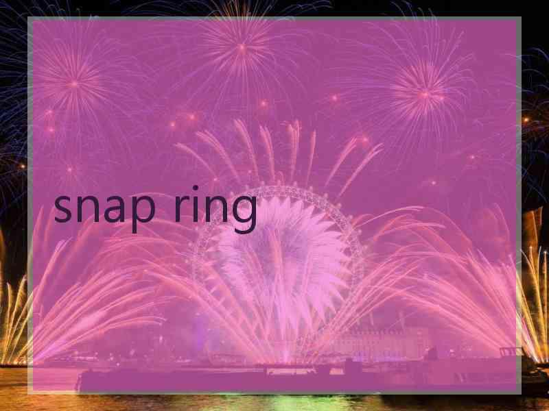 snap ring