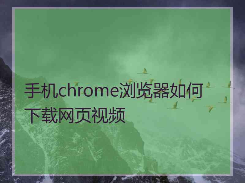 手机chrome浏览器如何下载网页视频