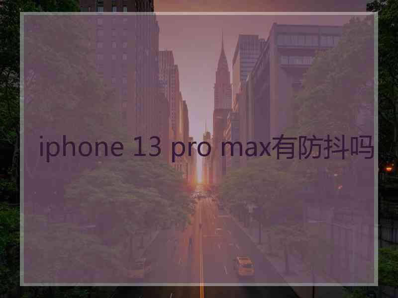 iphone 13 pro max有防抖吗