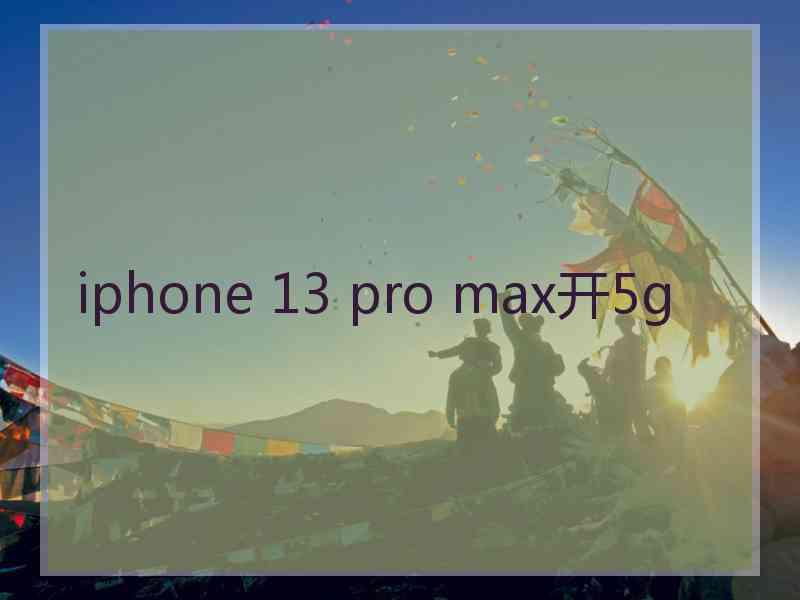 iphone 13 pro max开5g