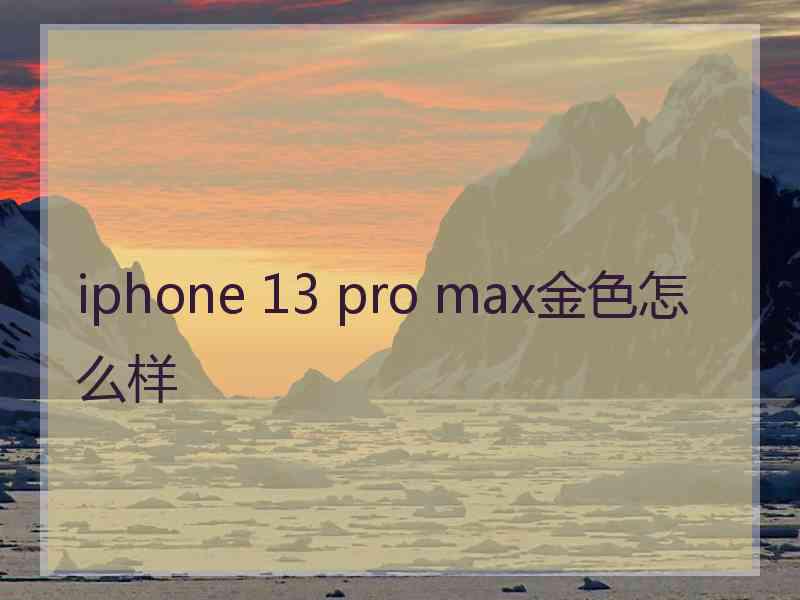 iphone 13 pro max金色怎么样