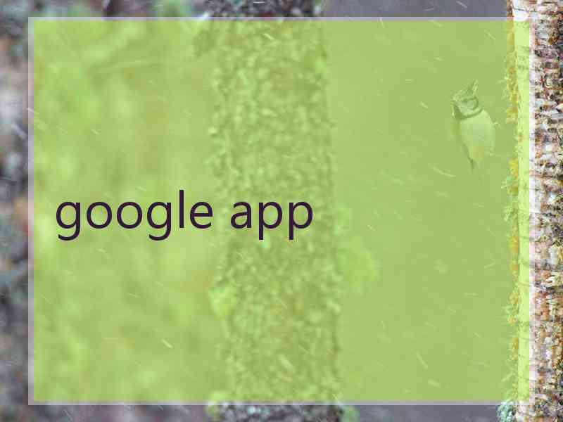 google app