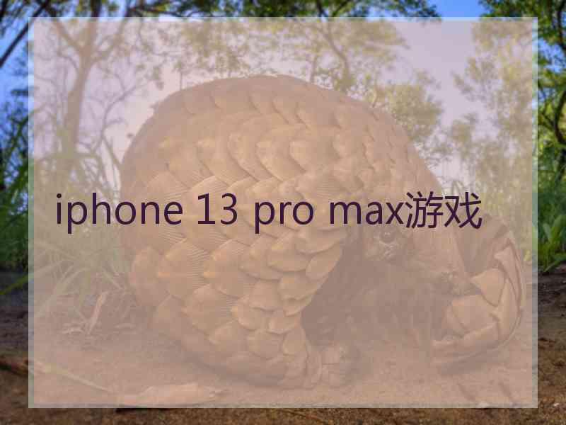 iphone 13 pro max游戏