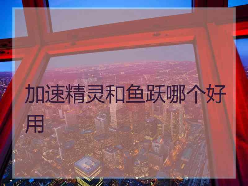 加速精灵和鱼跃哪个好用