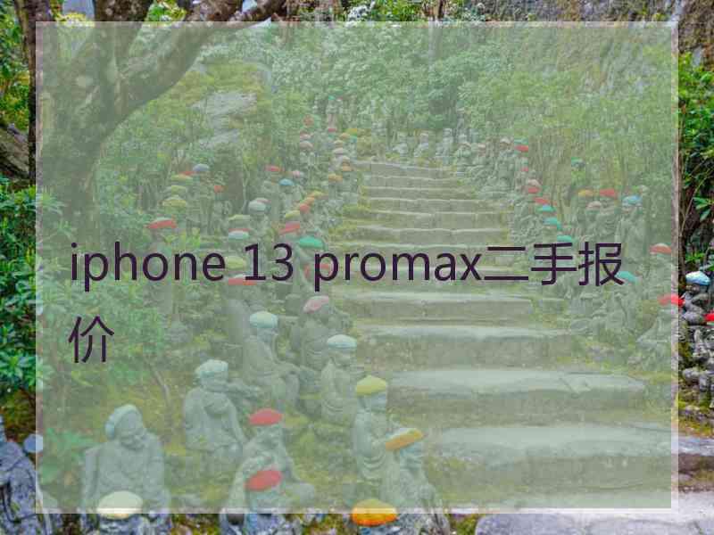 iphone 13 promax二手报价