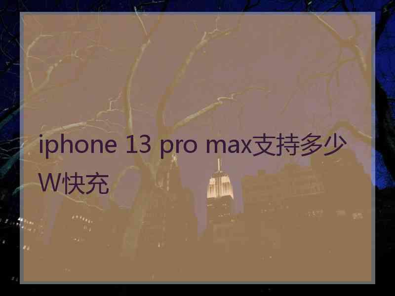 iphone 13 pro max支持多少W快充