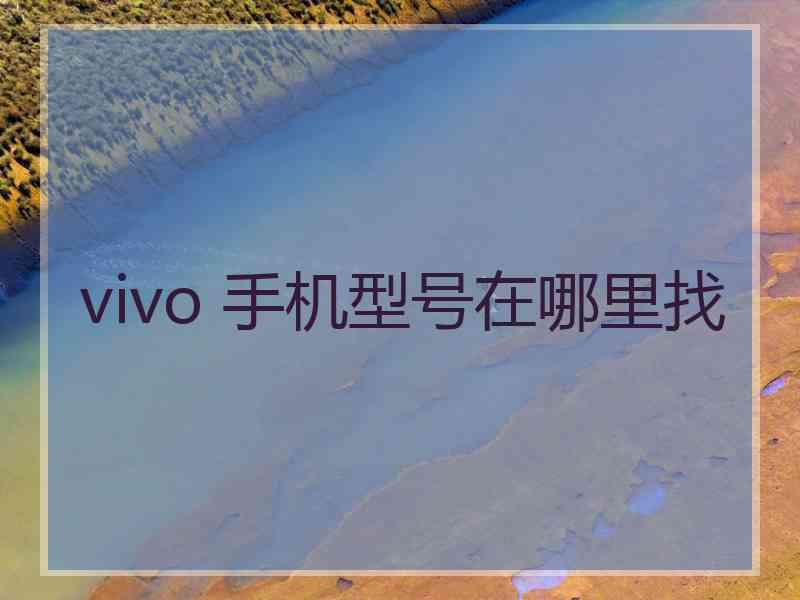 vivo 手机型号在哪里找