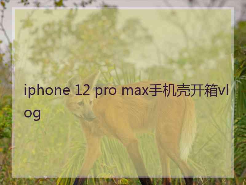 iphone 12 pro max手机壳开箱vlog