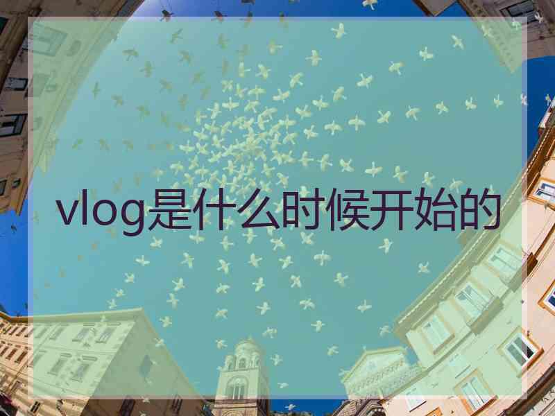 vlog是什么时候开始的