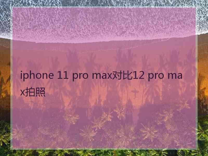 iphone 11 pro max对比12 pro max拍照