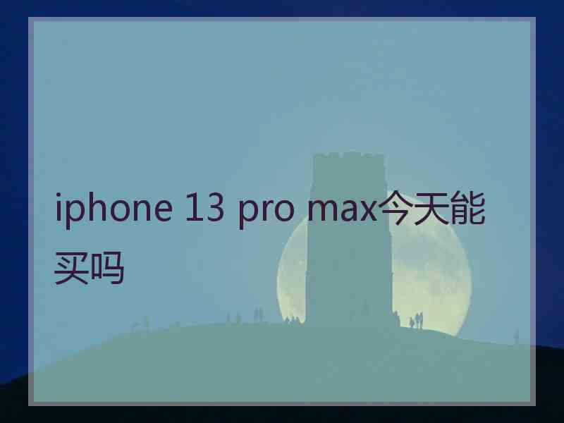 iphone 13 pro max今天能买吗