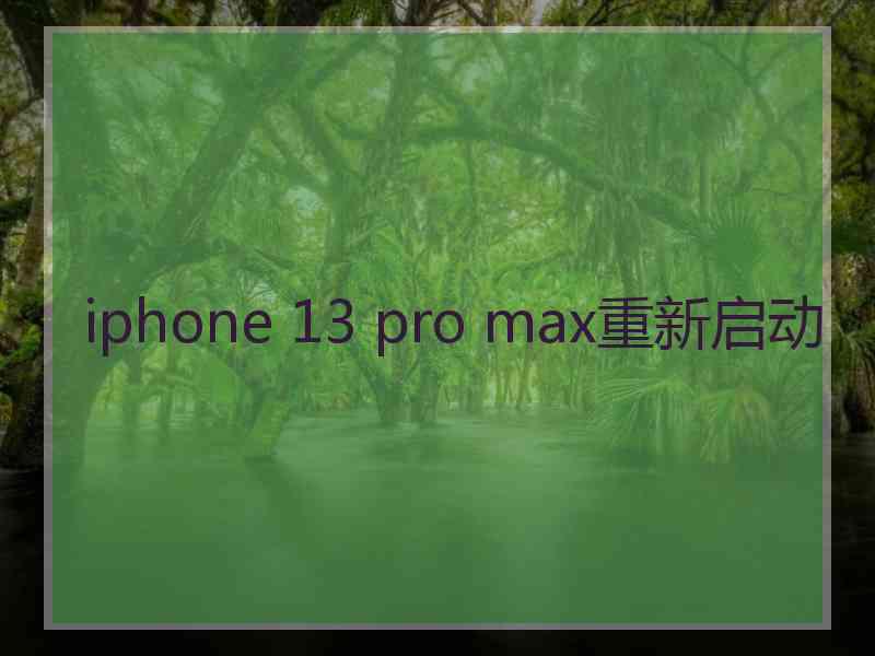 iphone 13 pro max重新启动