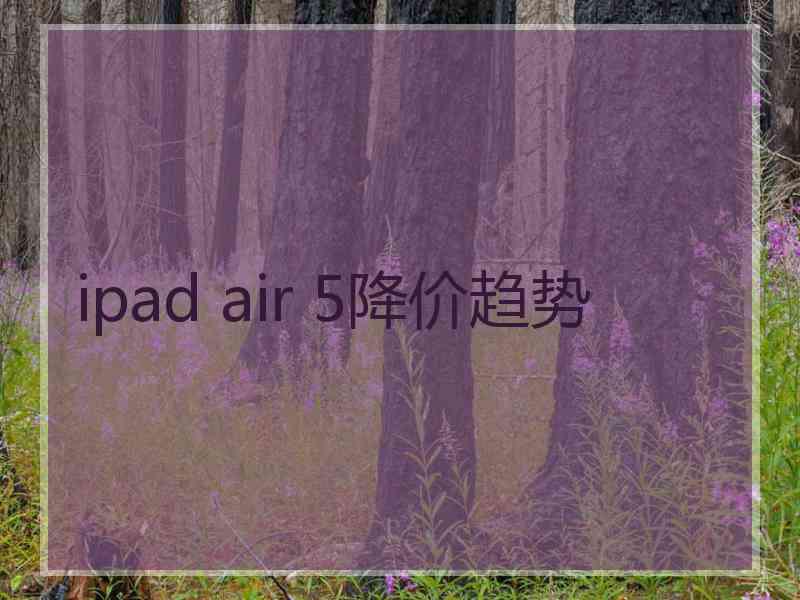 ipad air 5降价趋势