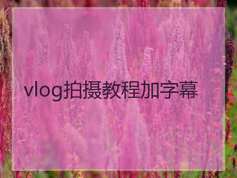 vlog拍摄教程加字幕