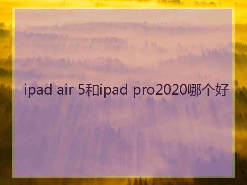 ipad air 5和ipad pro2020哪个好