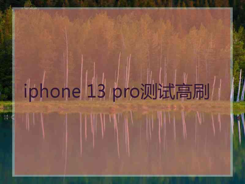 iphone 13 pro测试高刷