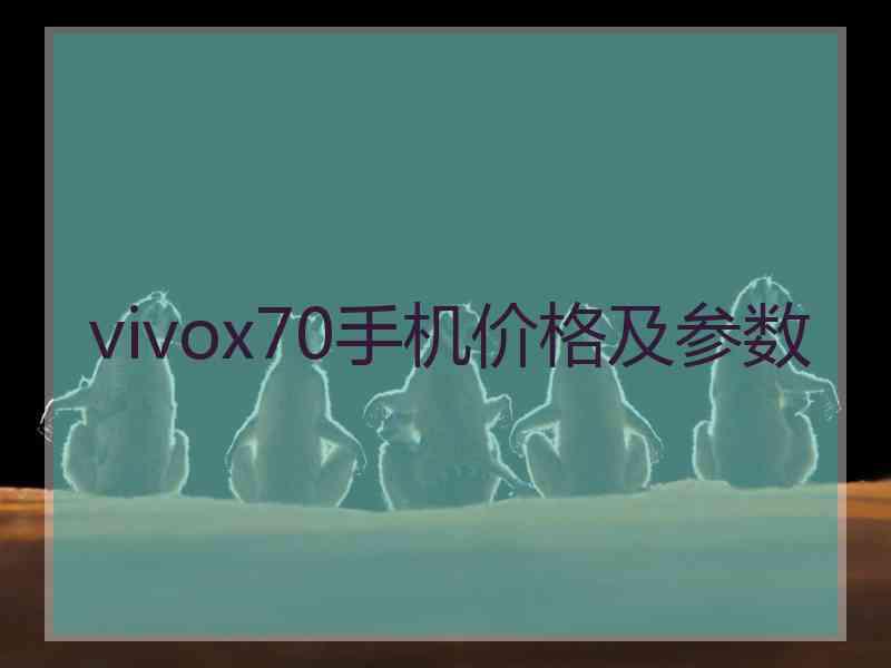 vivox70手机价格及参数