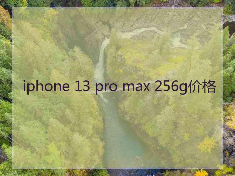 iphone 13 pro max 256g价格